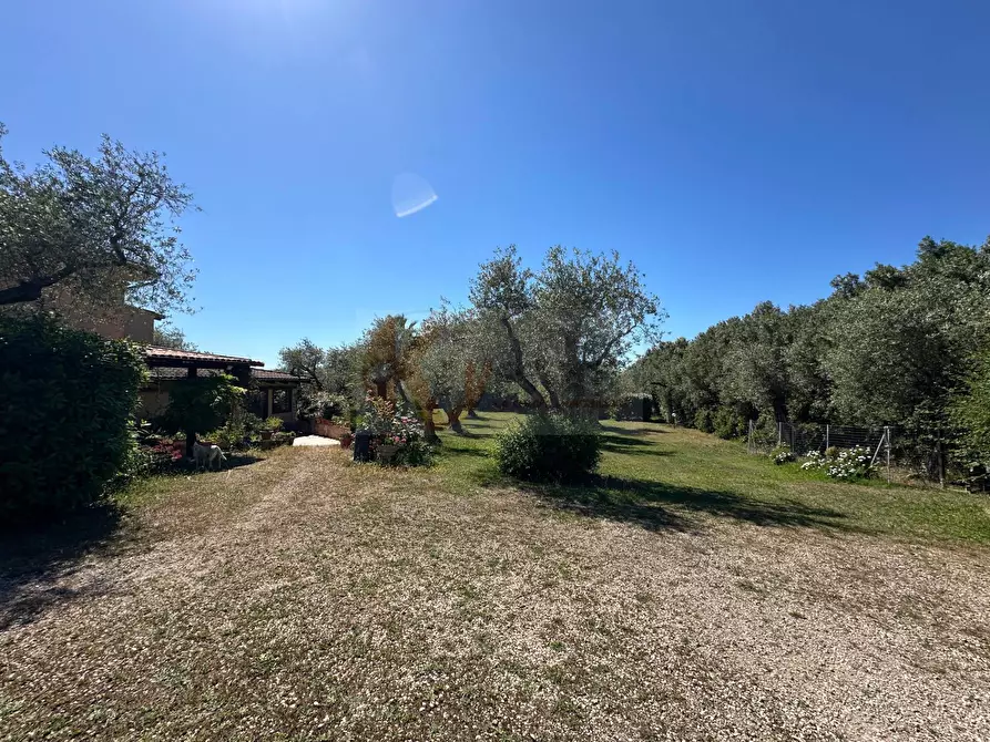 Immagine 111 di Villa in vendita  in ponte brandinu 99/m a Sassari