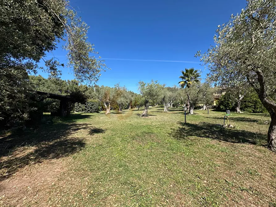 Immagine 112 di Villa in vendita  in ponte brandinu 99/m a Sassari