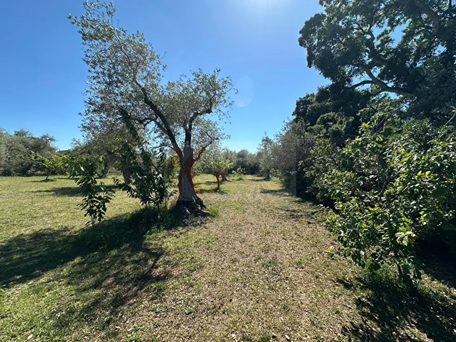Immagine 113 di Villa in vendita  in ponte brandinu 99/m a Sassari