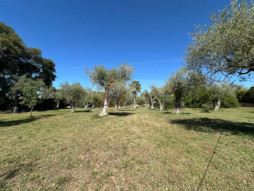Immagine 116 di Villa in vendita  in ponte brandinu 99/m a Sassari