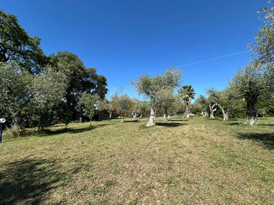 Immagine 114 di Villa in vendita  in ponte brandinu 99/m a Sassari