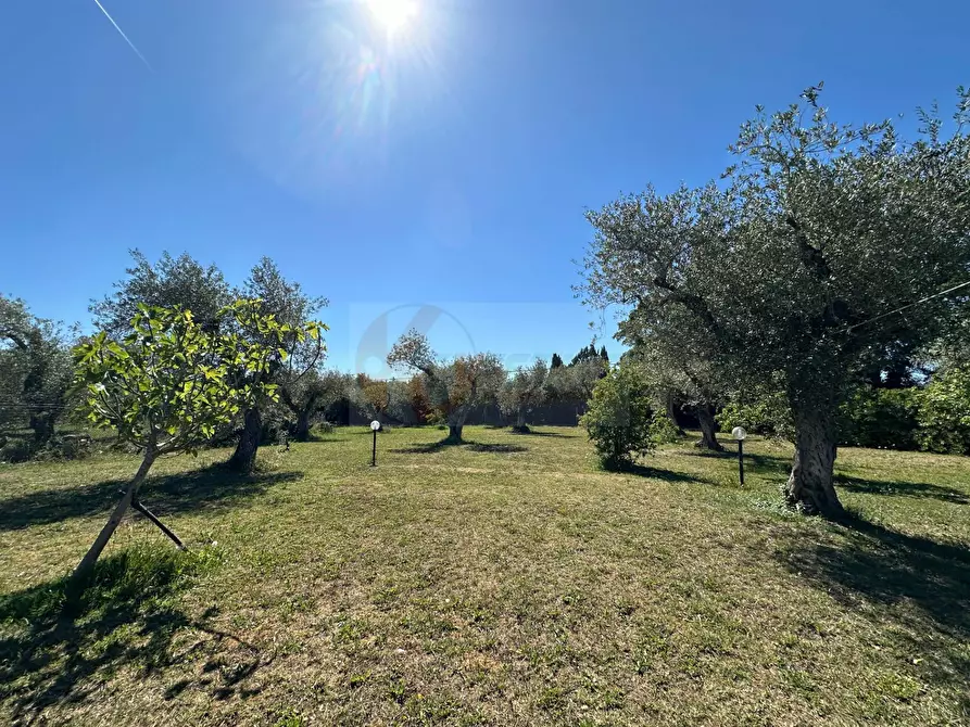 Immagine 115 di Villa in vendita  in ponte brandinu 99/m a Sassari