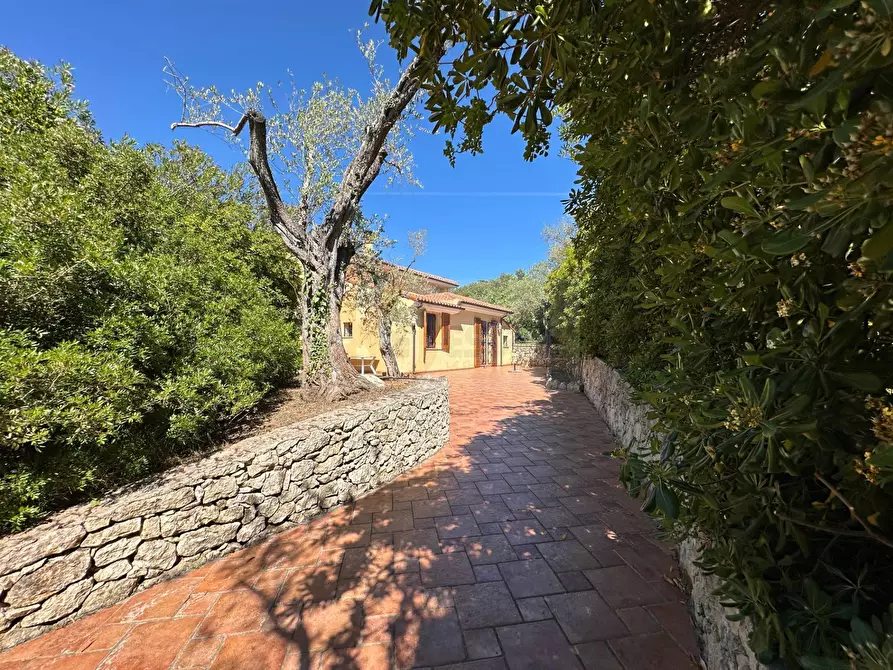 Immagine 69 di Villa in vendita  in ponte brandinu 99/m a Sassari