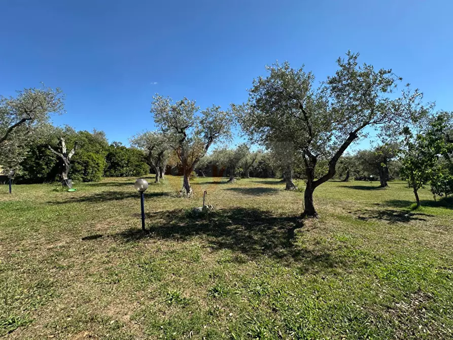 Immagine 117 di Villa in vendita  in ponte brandinu 99/m a Sassari