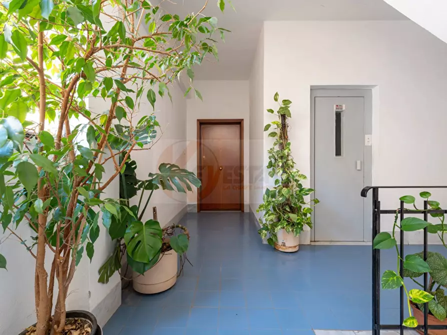 Immagine 36 di Appartamento in vendita  in Via Vienna 11 a Sassari