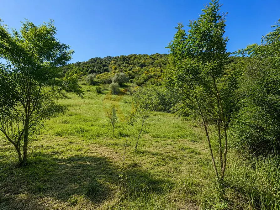 Immagine 1 di Terreno agricolo in vendita  in LOC. MURAGATTA SNC a Banari
