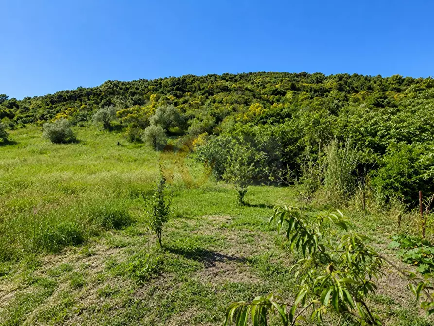 Immagine 2 di Terreno agricolo in vendita  in LOC. MURAGATTA SNC a Banari