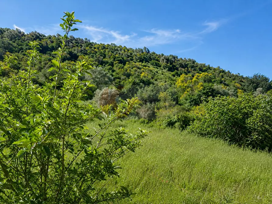Immagine 4 di Terreno agricolo in vendita  in LOC. MURAGATTA SNC a Banari