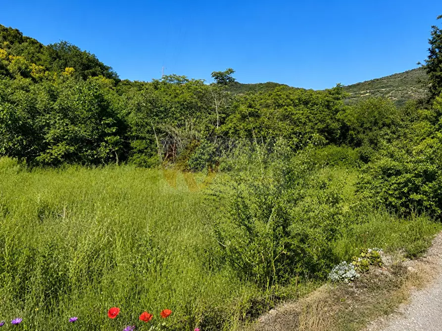 Immagine 5 di Terreno agricolo in vendita  in LOC. MURAGATTA SNC a Banari