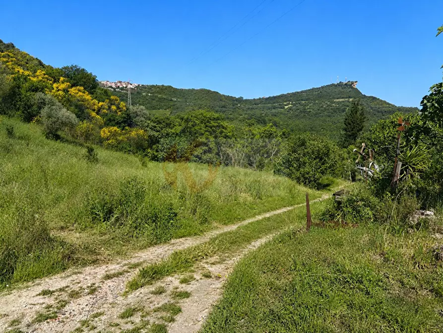Immagine 7 di Terreno agricolo in vendita  in LOC. MURAGATTA SNC a Banari