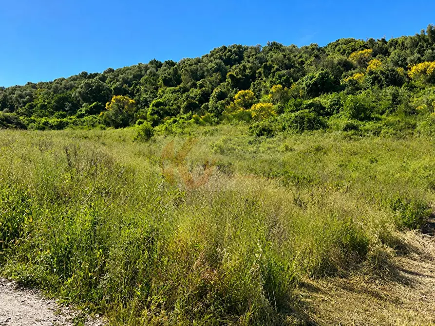 Immagine 10 di Terreno agricolo in vendita  in LOC. MURAGATTA SNC a Banari