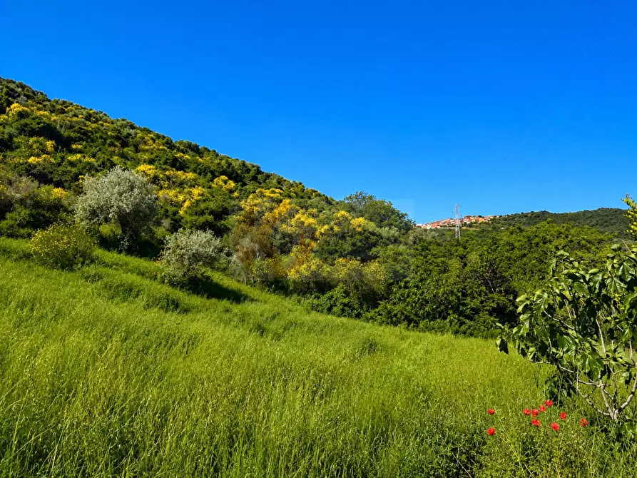 Immagine 18 di Terreno agricolo in vendita  in LOC. MURAGATTA SNC a Banari