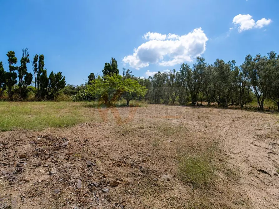 Immagine 38 di Villa in vendita  in Località Serralonga snc a Sorso