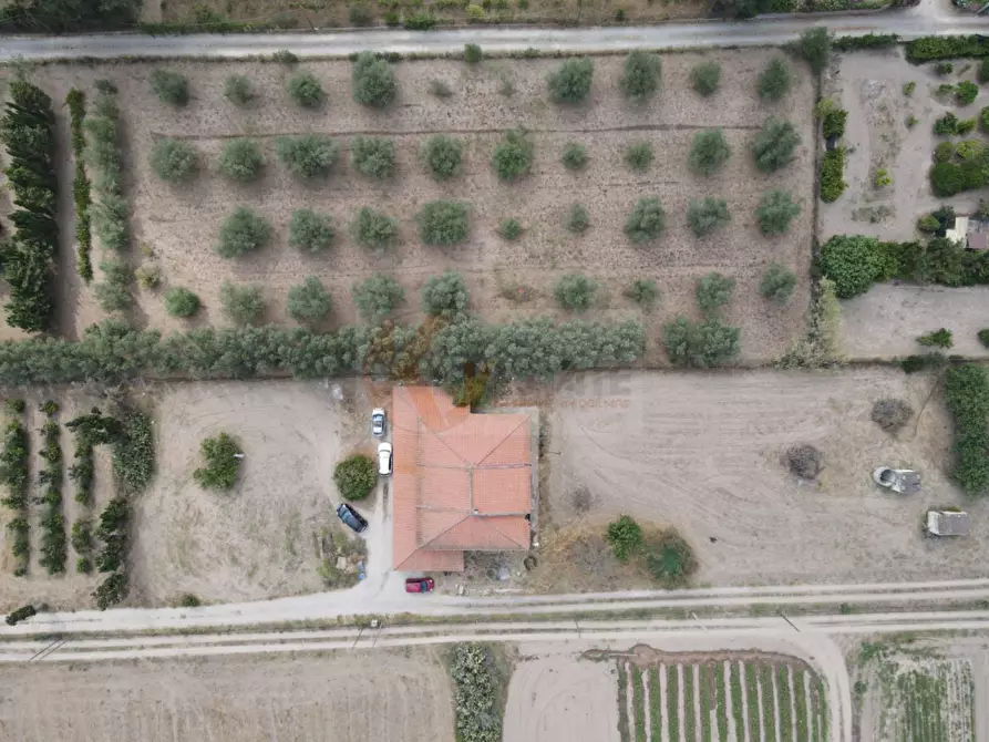 Immagine 45 di Villa in vendita  in Località Serralonga snc a Sorso