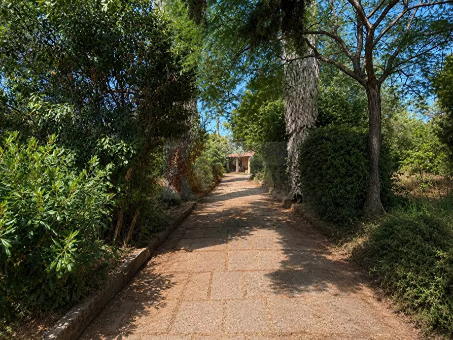 Immagine 64 di Villa in vendita  in strada statale 292 nord 7 a Alghero