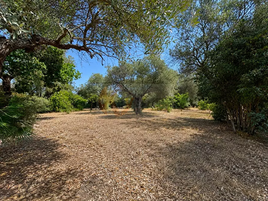 Immagine 22 di Villa in vendita  in strada statale 292 nord 7 a Alghero