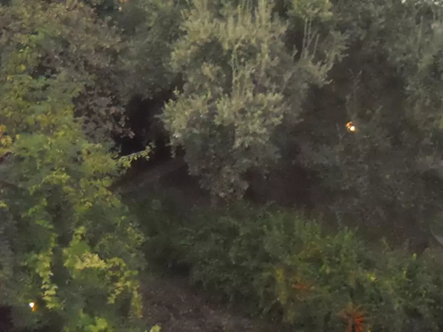 Immagine 8 di Ufficio in affitto  in Corso Domenico Baccarini a Faenza