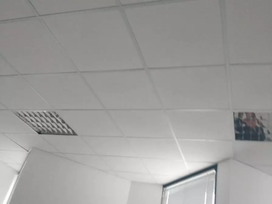 Immagine 27 di Ufficio in affitto  in Via Granarolo 00 a Faenza