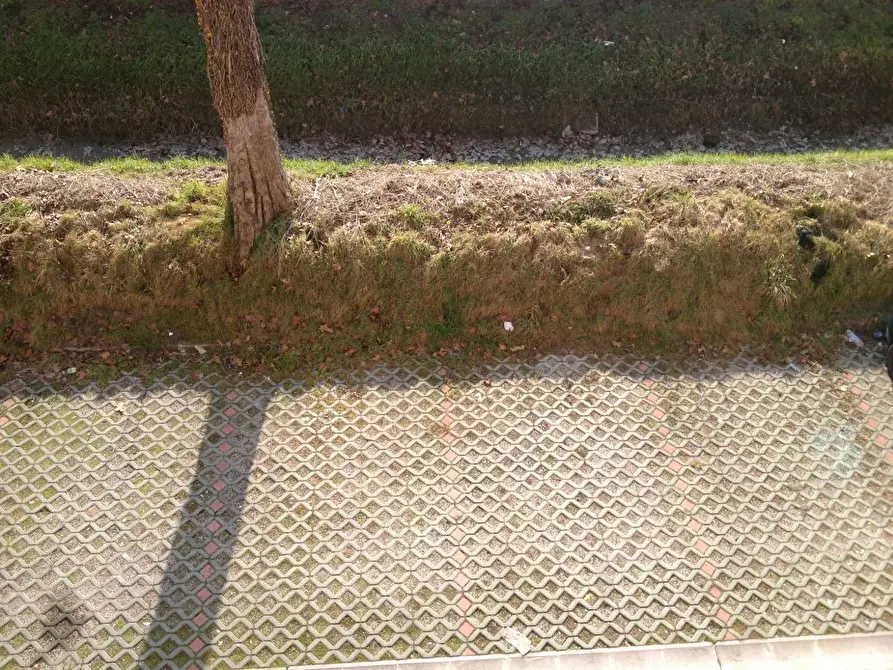 Immagine 8 di Appartamento in affitto  a Massa Lombarda