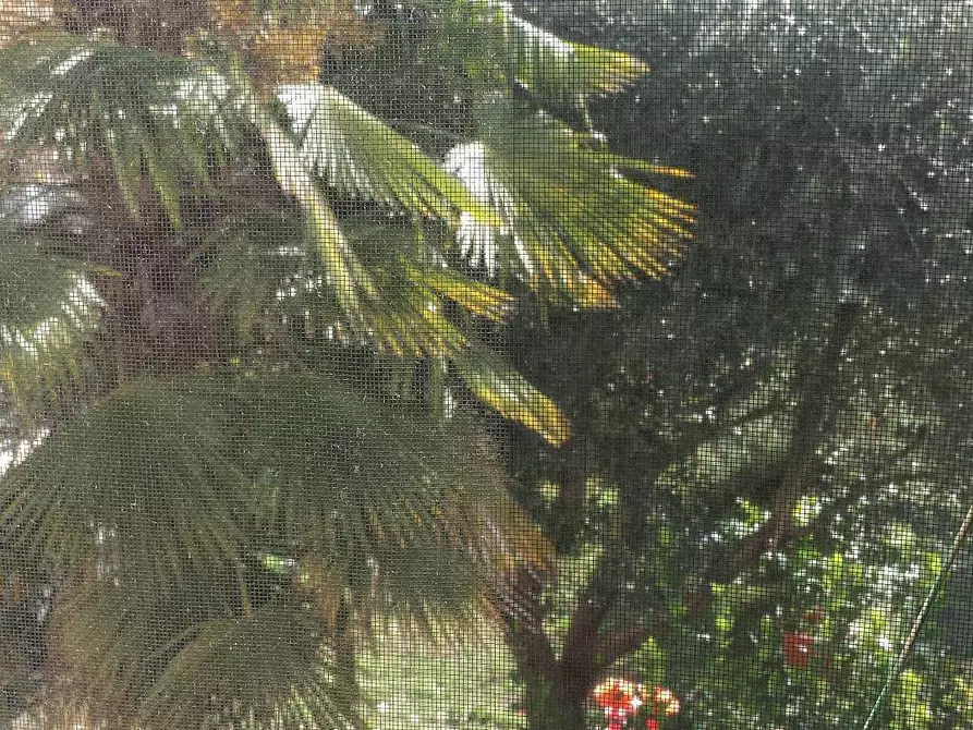 Immagine 14 di Appartamento in vendita  in Via Lapi a Faenza