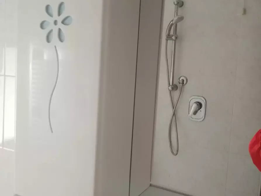 Immagine 18 di Appartamento in affitto  in Corso Saffi 00 a Faenza