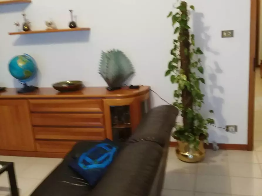 Immagine 24 di Appartamento in affitto  in Via Fratelli Rosselli 00 a Faenza