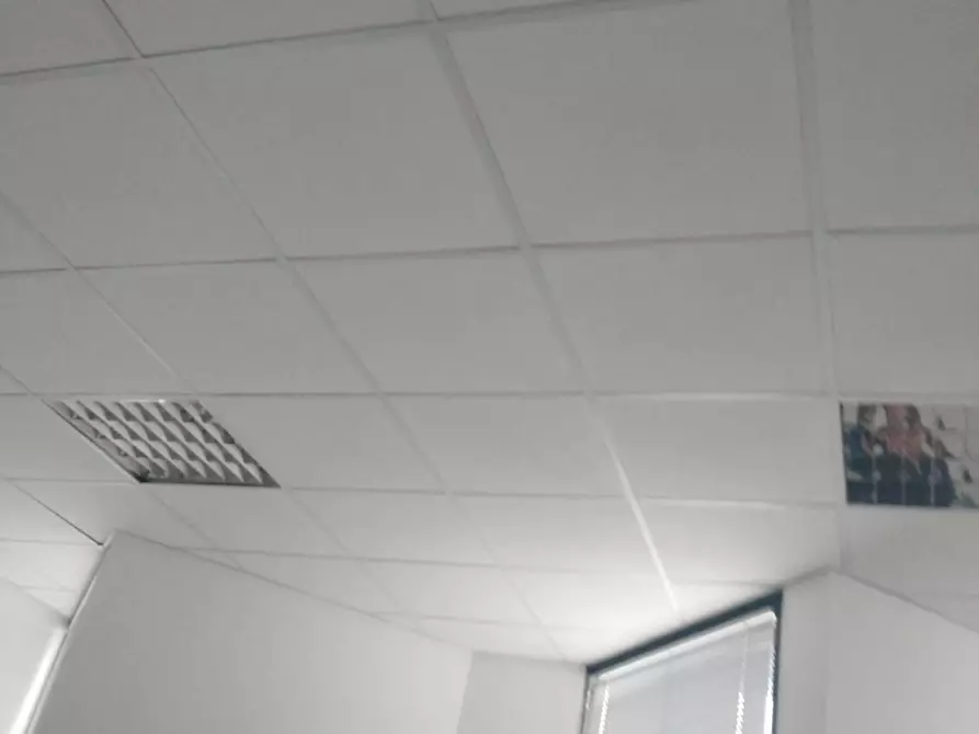 Immagine 57 di Ufficio in affitto  in Via Granarolo 00 a Faenza