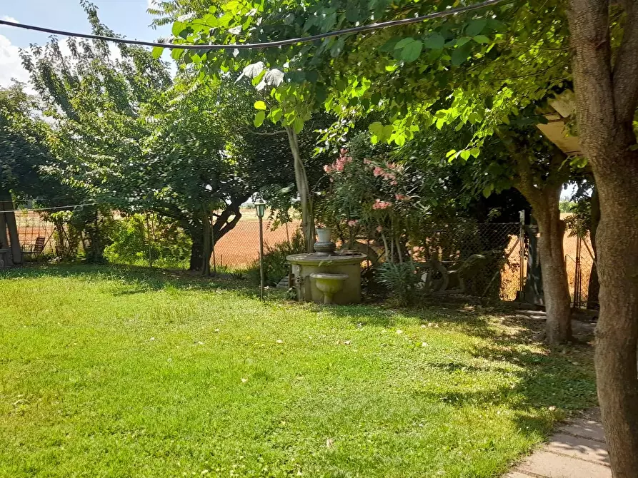 Immagine 2 di Casa semindipendente in vendita  in CA PIROTA 00 a Ravenna