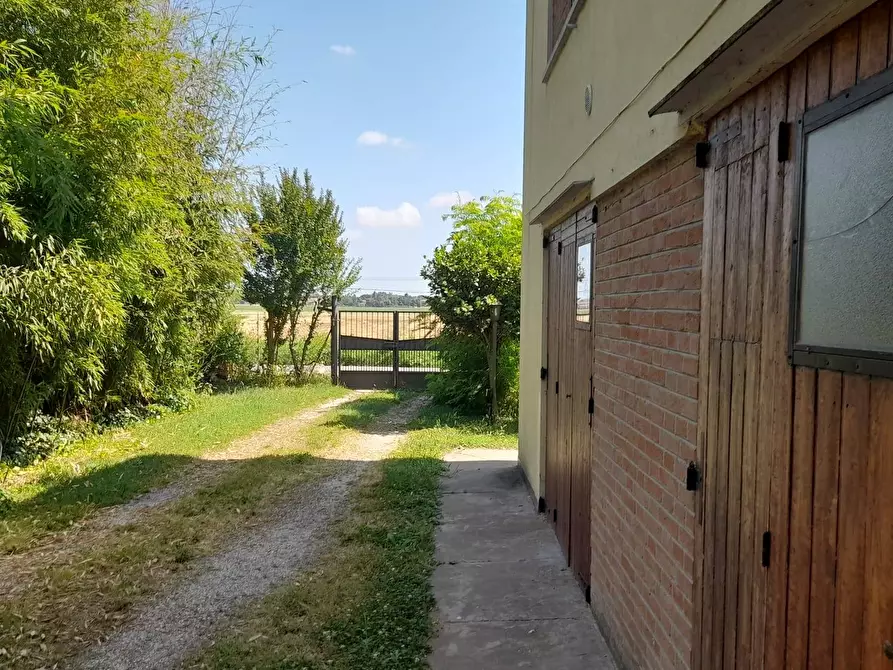 Immagine 5 di Casa semindipendente in vendita  in CA PIROTA 00 a Ravenna