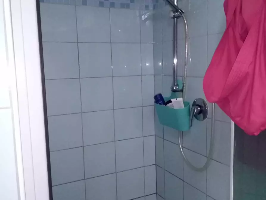 Immagine 15 di Attico in affitto  a Cotignola