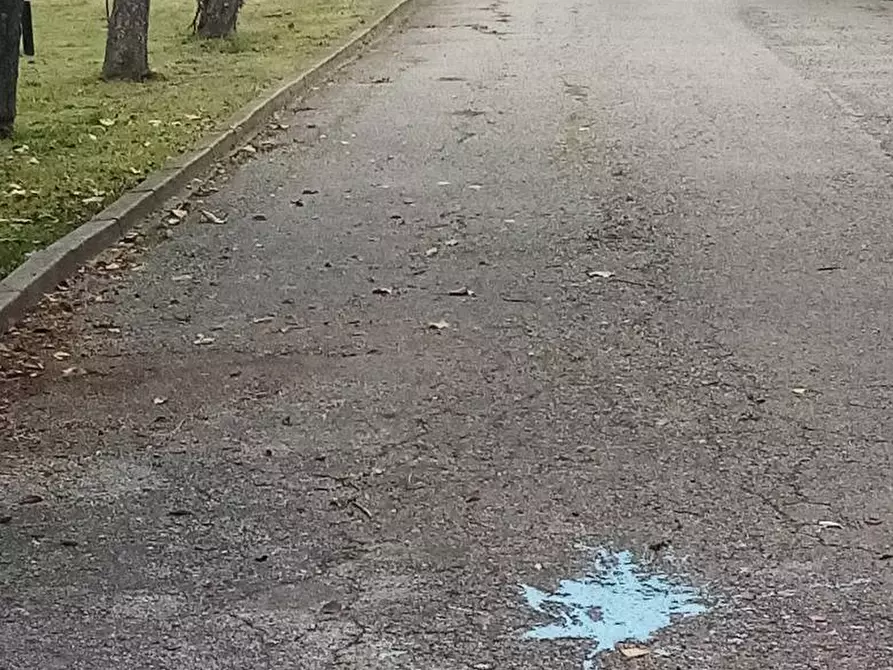 Immagine 40 di Casa semindipendente in vendita  a Solarolo