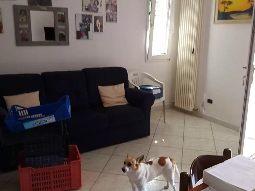 Immagine 2 di Casa semindipendente in affitto  a Sant'agata Sul Santerno