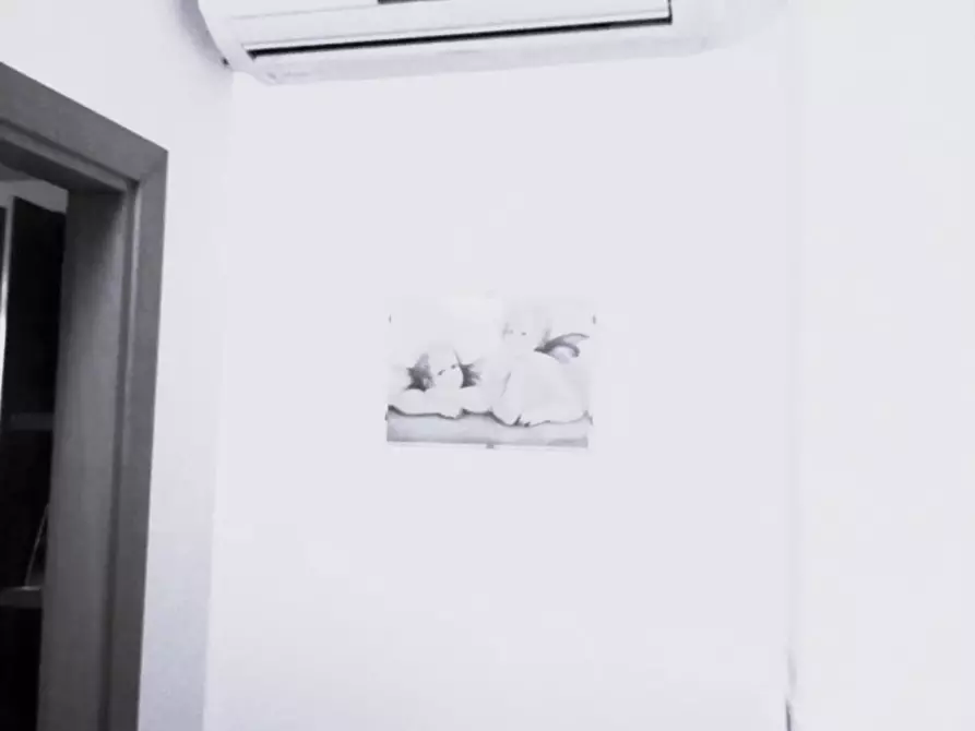 Immagine 6 di Casa semindipendente in affitto  a Sant'agata Sul Santerno