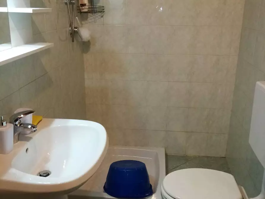 Immagine 11 di Appartamento in affitto  a Lugo