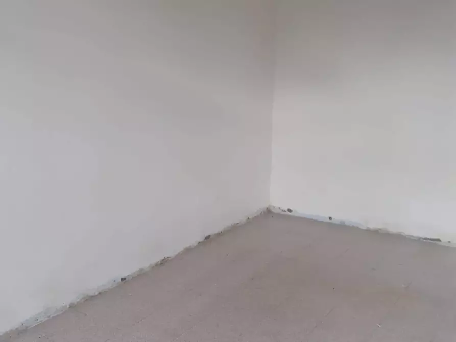 Immagine 5 di Casa indipendente in affitto  a Bagnacavallo