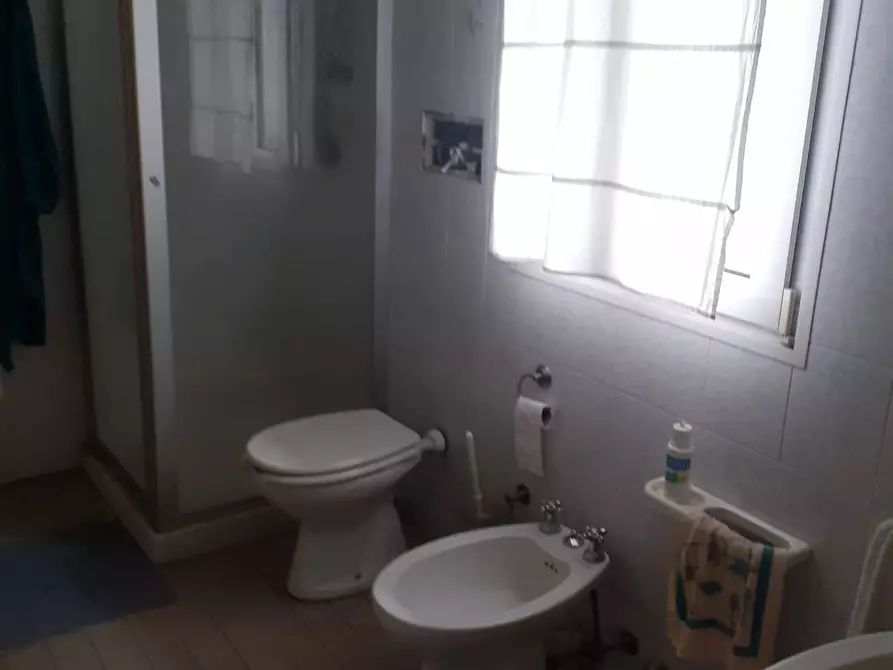 Immagine 21 di Casa indipendente in vendita  00 a Russi