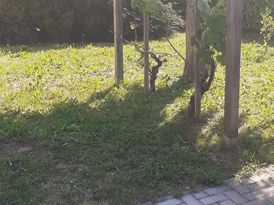 Immagine 16 di Casa indipendente in vendita  in via boccaccio 00 a Faenza