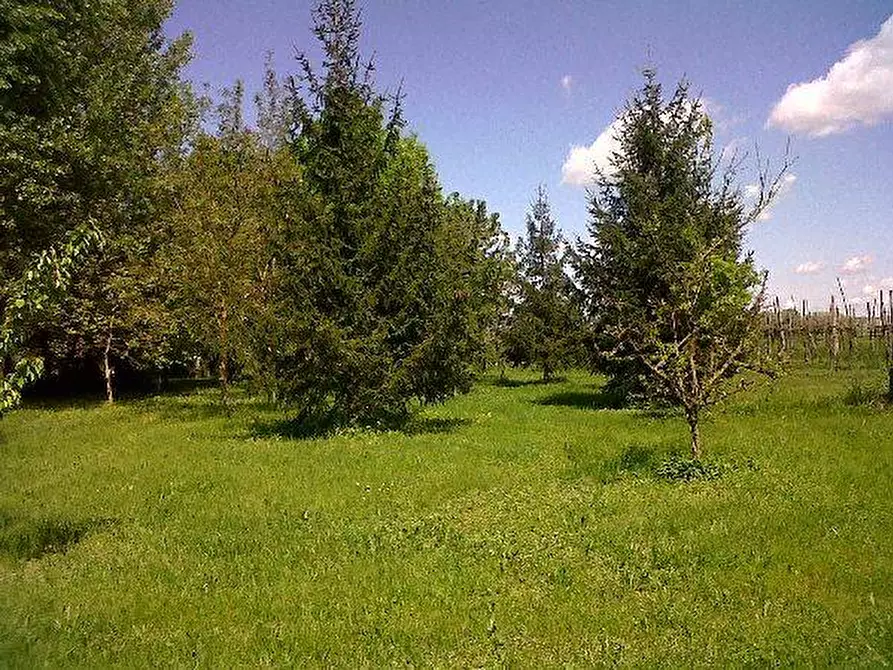 Immagine 3 di Rustico / casale in vendita  a Lugo