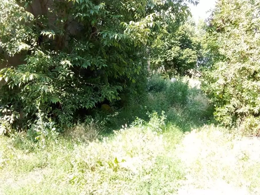 Immagine 2 di Rustico / casale in vendita  a Lugo