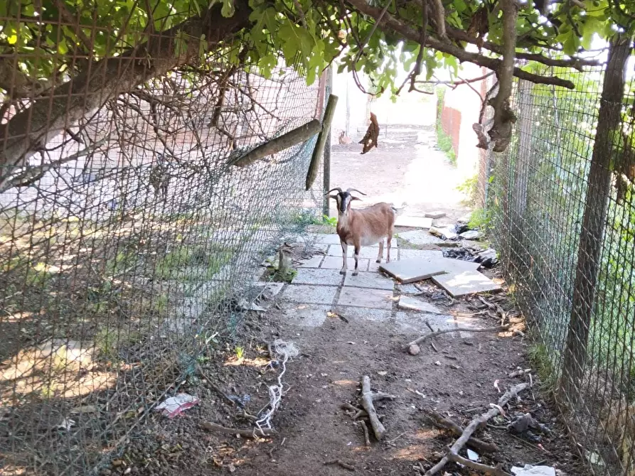 Immagine 8 di Casa indipendente in vendita  a Lugo