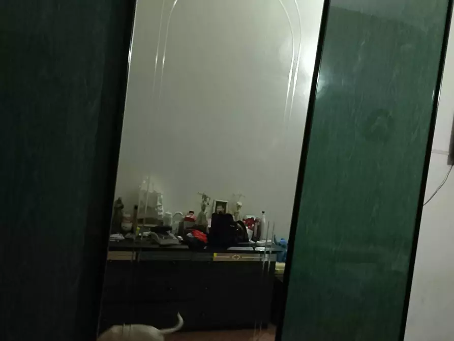 Immagine 3 di Appartamento in affitto  in Via Molino 00 a Solarolo