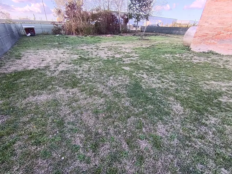 Immagine 4 di Casa indipendente in vendita  a Cotignola