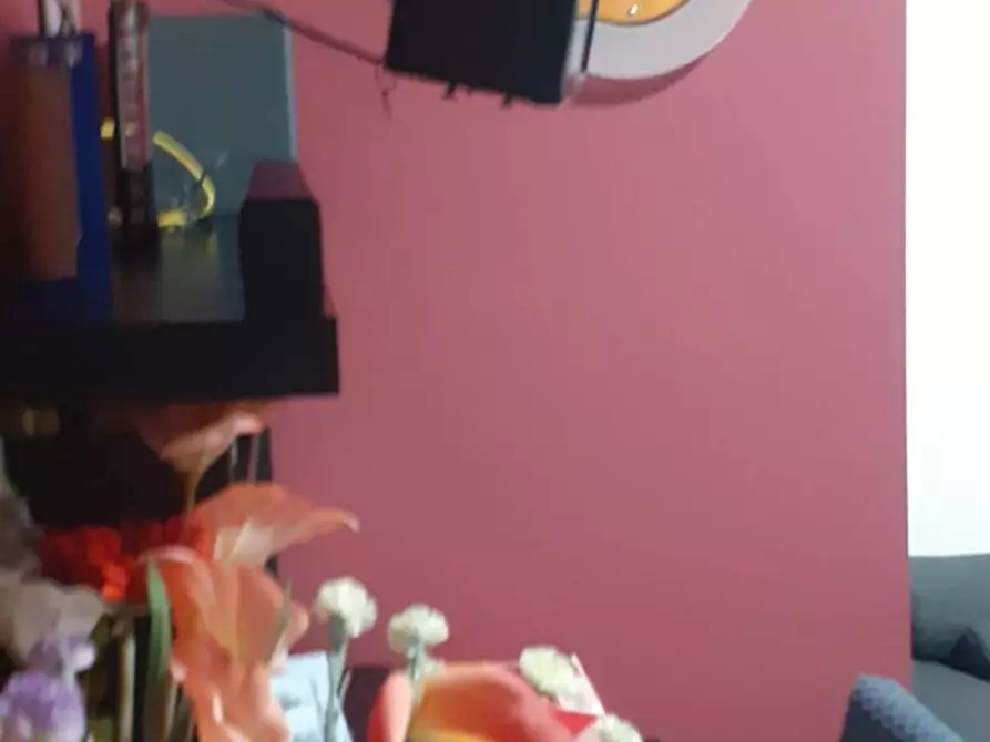 Immagine 7 di Appartamento in vendita  in via fratelli bandiera 00 a Faenza