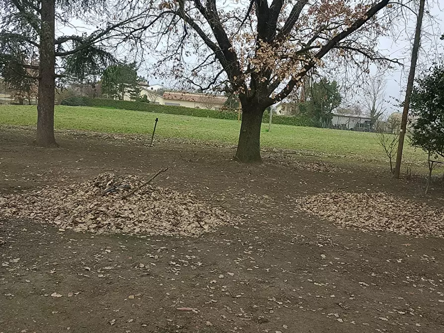 Immagine 3 di Casa indipendente in vendita  in via madonna della salute 00 a Solarolo