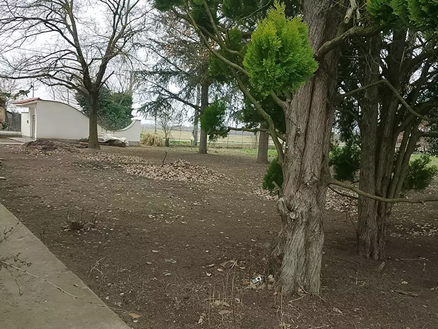 Immagine 15 di Casa indipendente in vendita  in via madonna della salute 00 a Solarolo