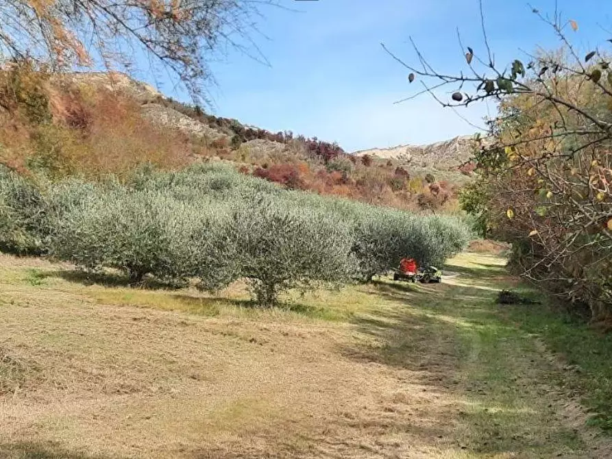 Immagine 2 di Rustico / casale in vendita  in via molino vecchio 78 a Brisighella