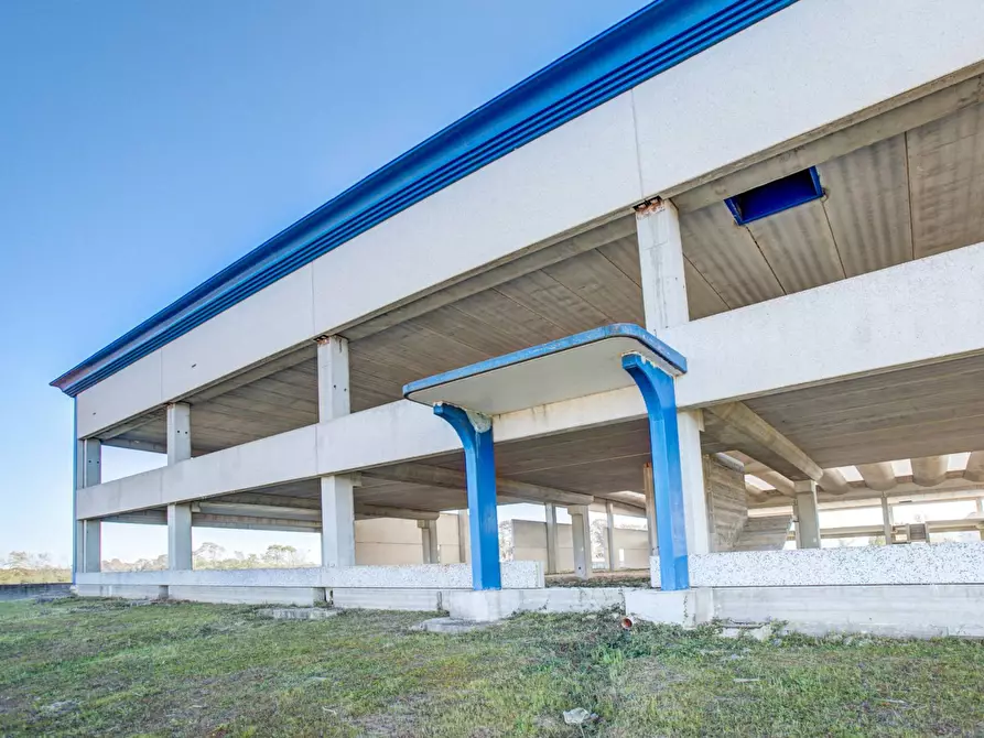 Immagine 7 di Capannone industriale in vendita  in via della produzione snc a Aprilia