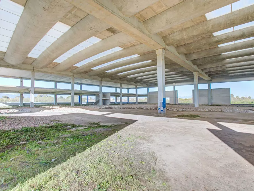 Immagine 16 di Capannone industriale in vendita  in via della produzione snc a Aprilia