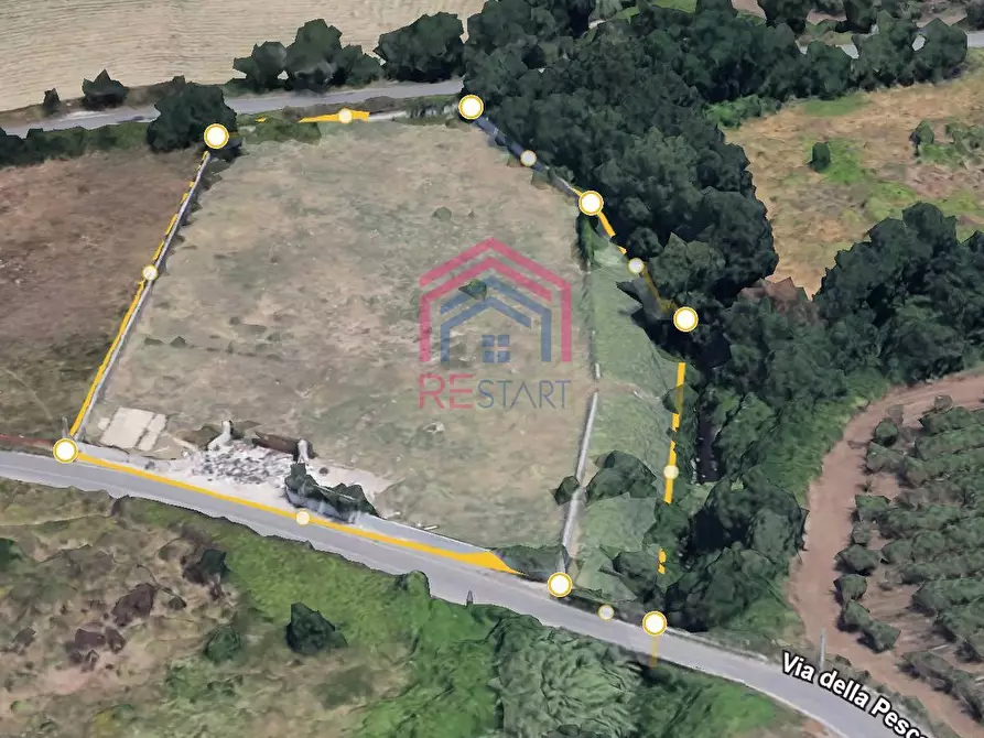 Immagine 2 di Terreno agricolo in vendita  in Via Pescarella - Via Valle Caia - a Ardea
