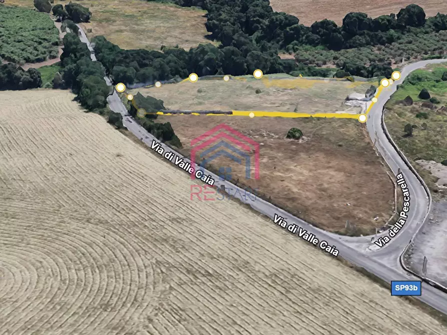 Immagine 3 di Terreno agricolo in vendita  in Via Pescarella - Via Valle Caia - a Ardea